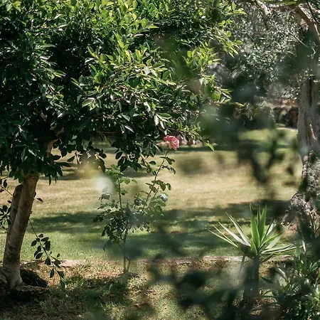 Country house Tenuta Monacelli Lecce